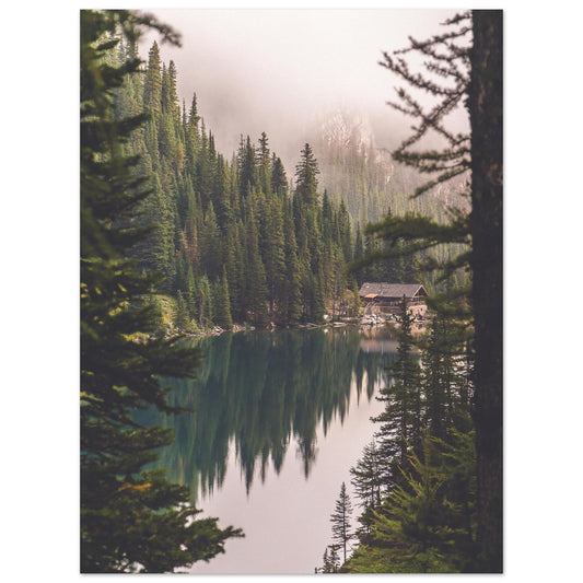 A Wild Moment Of Tranquility Photography