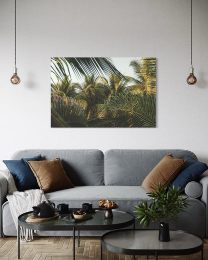 Dancing Jungle